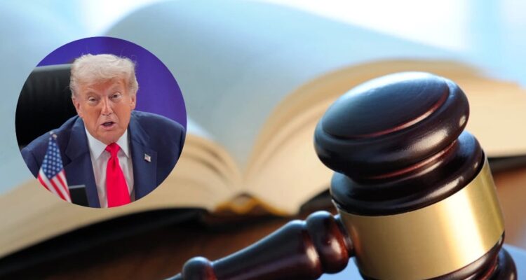 Administración Trump despidió a 8 jueces de inmigración en Nueva York 1 Jueces. Trump