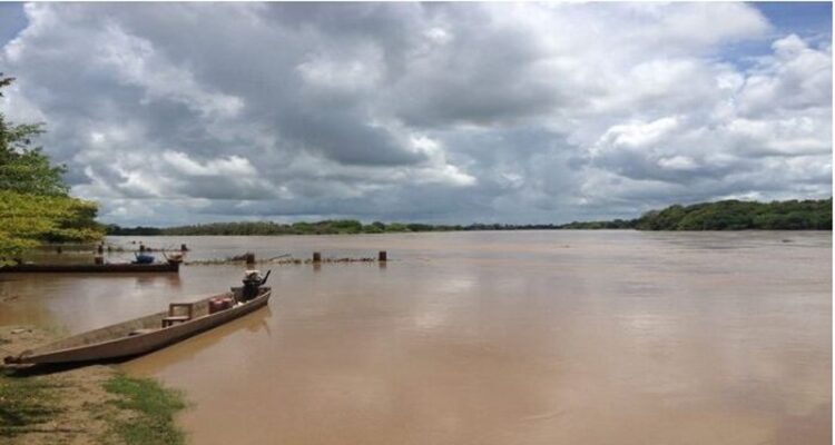 Investigan mortandad de peces en el río Apure y suspenden actividad pesquera 1 Peces