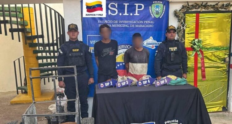 Polimaracaibo desmanteló grupo dedicado al hurto de cables del alumbrado navideño 1 Polimaracaibo