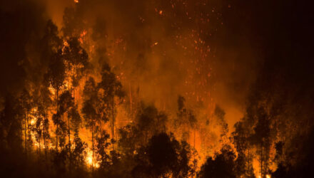 Incendios Chile