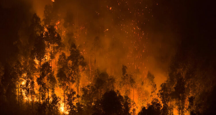 Subió a 21 muertos por incendios forestales en Chile 1 Incendios Chile