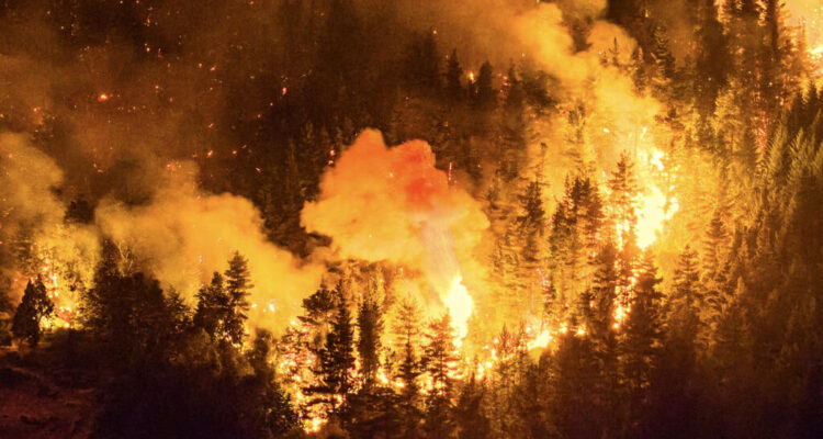 Argentina: incendios arrasan 15.000 hectáreas en Patagonia 1 Incendios