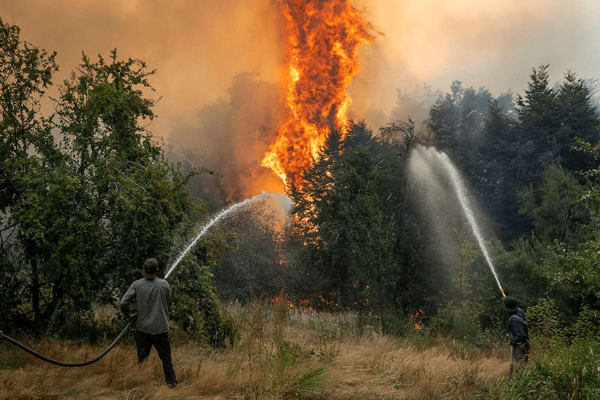 Argentina: incendios arrasan 15.000 hectáreas en Patagonia 2 Incendios forestales Patagonia