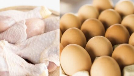 Pollo y huevos