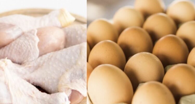 Pollo y huevos