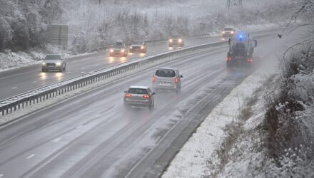 Francia frio