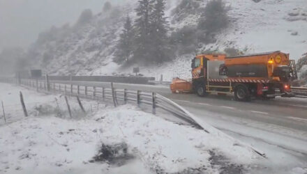 Nieve