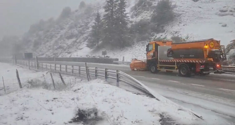 Nieve