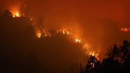 Incendio en Chile