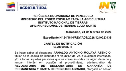 1iddVa3N ACAPULCO