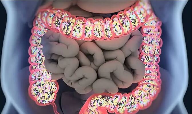 Microbiota