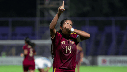 Vinotinto
