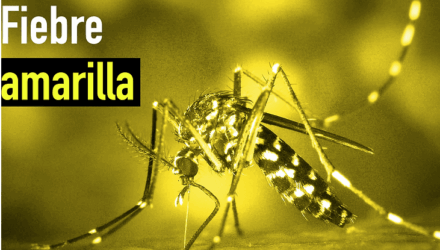 fiebre amarilla