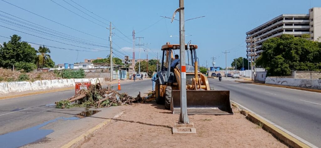 Alcaldía Bolivariana de San Francisco activa plan preventivo de limpieza en cañadas 6 WhatsApp Image 2026 02 06 at 9.11.13 AM