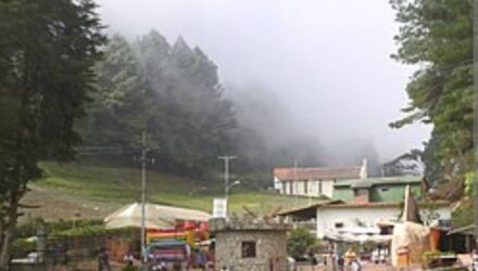 Ruta Alcaldía