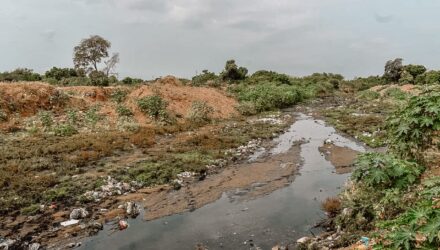 Cañada