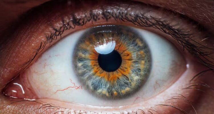 Salud ocular: siete nutrientes clave para proteger la visión 1 fTDFqszK Captura