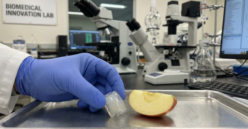Descubren que la manzana permite crear cartílago humano 3 mIJfnP7V Captura
