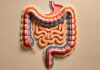 Mitos y verdades sobre la frecuencia de la evacuación intestinal. 5 Evacuación