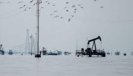 Petrolera- Petróleo