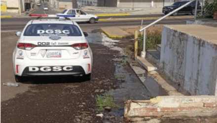 Botaderos en la calle