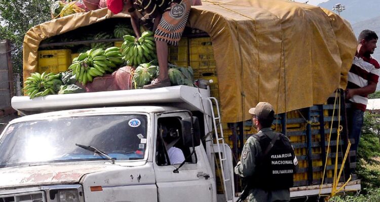 Seis hortalizas entran de contrabando desde Colombia sin control sanitario 1 Contrabando