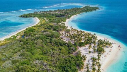 Morrocoy