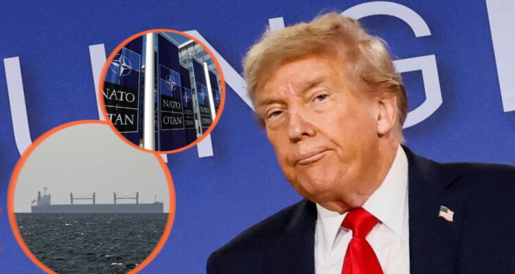 Trump advirtió a la OTAN de «un futuro muy malo» si los aliados no ayudan a EE. UU. en Ormuz 1 Trump