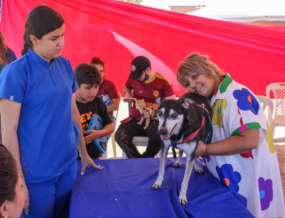Jornada de vacunación para caninos y felinos realiza Alcaldía de Maracaibo 2 WhatsApp Image 2026 03 03 at 12.34.08 PM 1