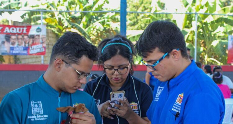 Jornada de vacunación para caninos y felinos realiza Alcaldía de Maracaibo 1 Alcaldía