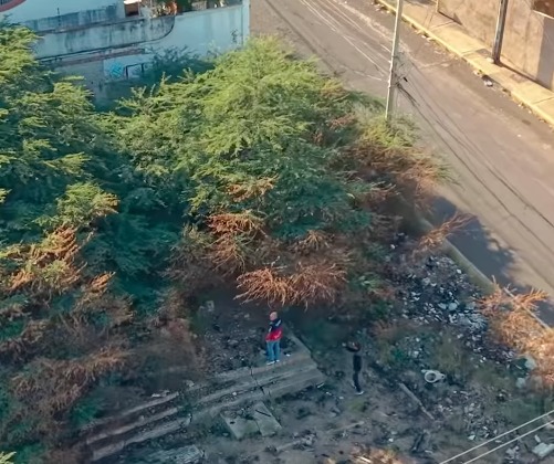 Alcaldía de Maracaibo insta a propietarios de terreno abandonado en El Milagro a ponerse a derecho 2 WhatsApp Image 2026 03 17 at 9.43.32 AM