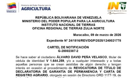 YoEHi2kt LA PAZ