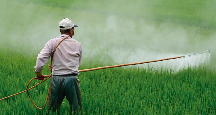 Estados Unidos busca otras fuentes que produzcan fertilizantes: Venezuela y Marruecos son sus opciones 1 Fertilizante