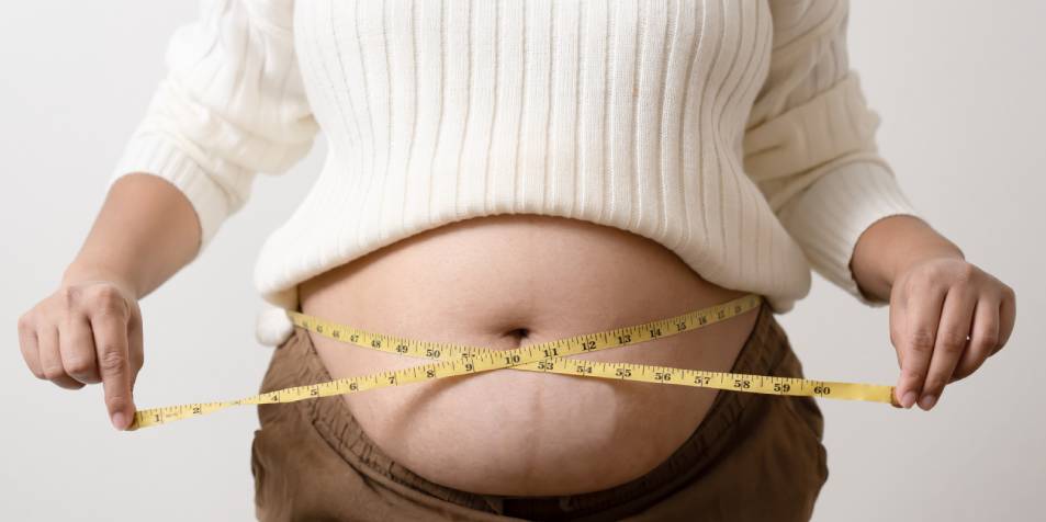 La nueva pirámide alimentaria: más comida real y el rol inquietante de los ultraprocesados 2 obesidad
