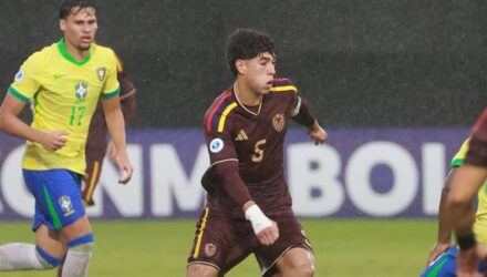 Vinotinto