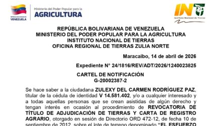 Pxx3HWQ7 EL ESFUERZO IV