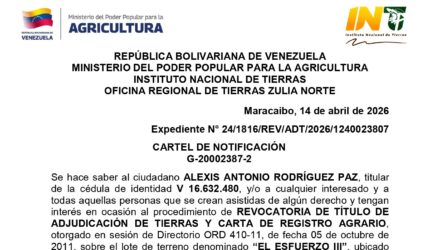 Q2n6tni5 EL ESFUERZO III
