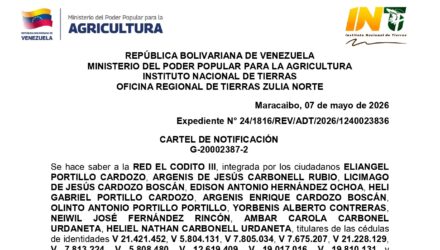 1ICU8LqW 3 EL CODITO III