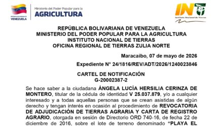 4M888HCT 5 PLAYA EL GONZALICO