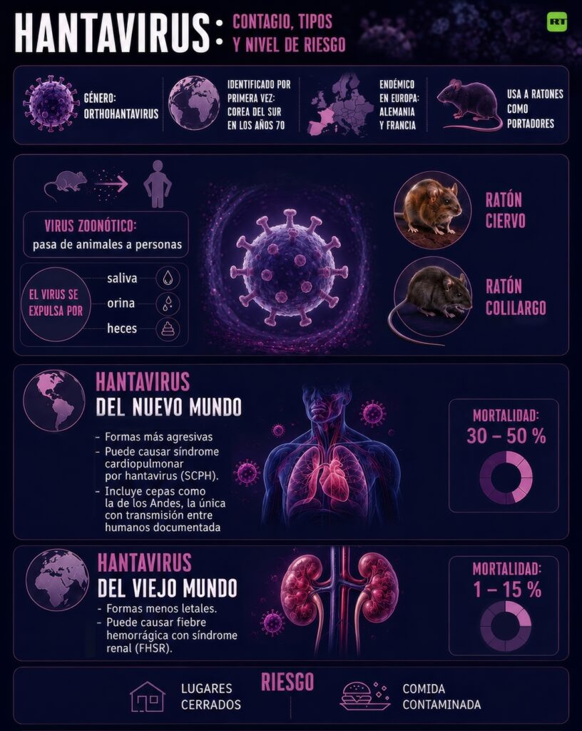 La mortalidad por hantavirus entre adolescentes alcanza el 50 %, revela nueva investigación 2 Contagios por Hantavirus