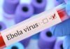 Ebola