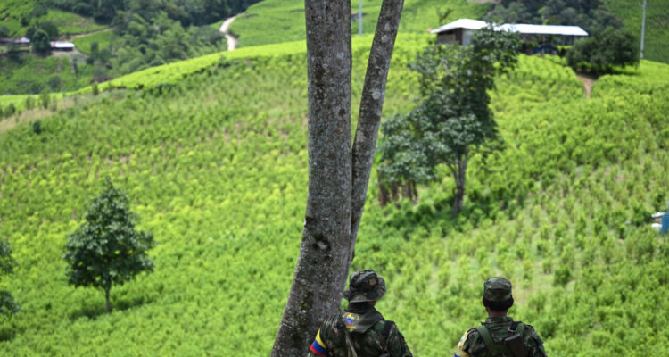 Al menos 48 muertos en enfrentamientos entre dos disidencias de las FARC en Colombia 1 Enfretamiento