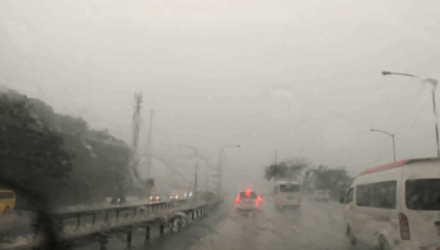 El niño