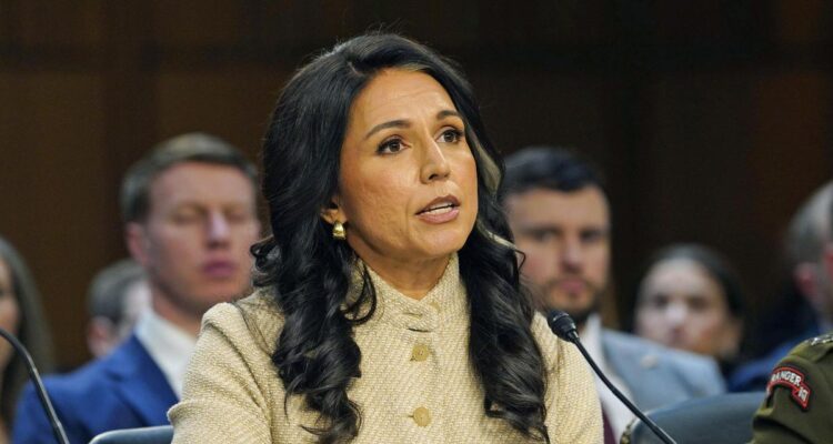 Tulsi Gabbard dimitió como directora de Inteligencia del Gobierno de Trump 1 Gabbard
