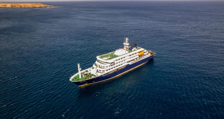 Brote de hantavirus en crucero que zarpó desde Argentina dejó tres muertos 1 Hantavirus