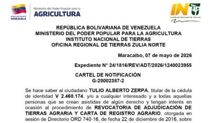 KmN22B2U 29 PLAYA LA ROSA