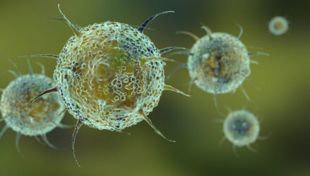 Virus