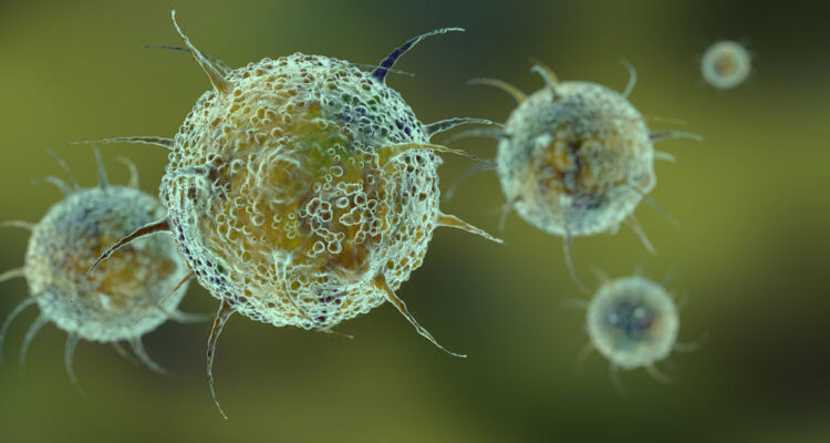 Estos 10 virus son más mortales que el COVID-19 (el décimo te asombrará) 1 Virus