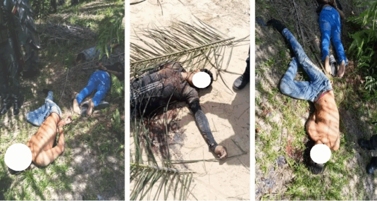 Presuntos guerrilleros mataron a cinco hombres en el sur del Lago de Maracaibo 1 Guerrilleros