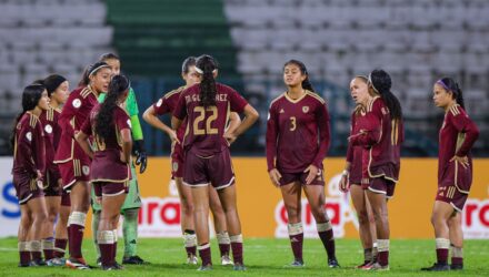 Vinotinto